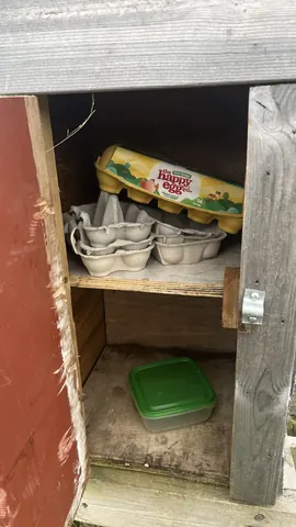A green plastic container with a lid is sitting on the ground.