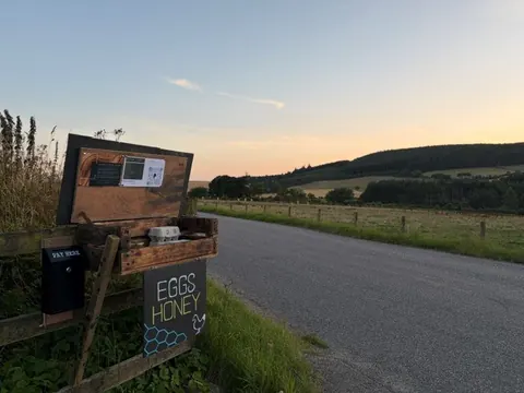 A sign for eggs and honey is on the side of a road.