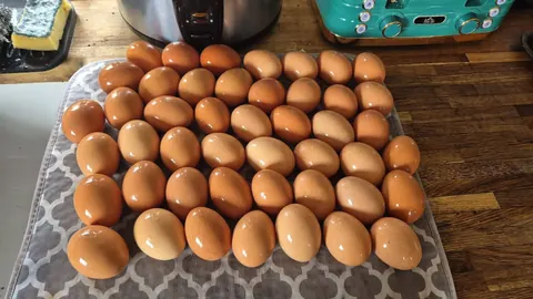 A tray of eggs is sitting on a table.