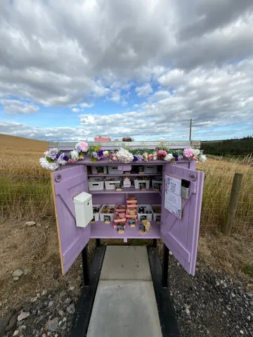 A purple box with flowers in it.