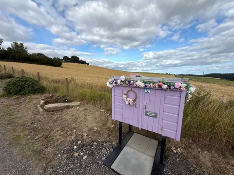 A purple shed with flowers in it.