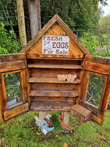 A wooden structure with a sign that says "Fresh Eggs for Sale" and a window with a cage in it.