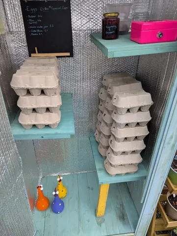 A blue shelf with eggs on it.