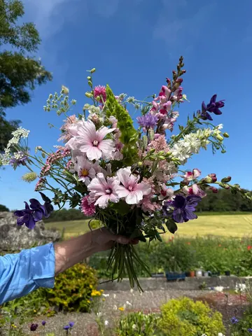 A bouquet of flowers is being held by a person.