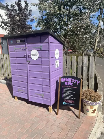A purple and black portable toilet is sitting on a brick sidewalk.