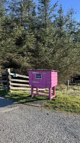 A pink box with the word "Chail" on it is sitting on a grassy area.