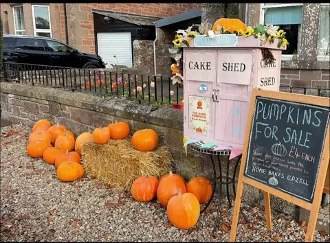 A pumpkin stand with pumpkins and a sign that says "pumpkin for sale".