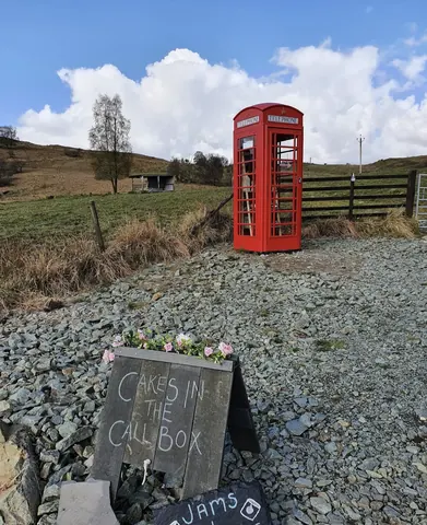 A red telephone booth is sitting in a field.