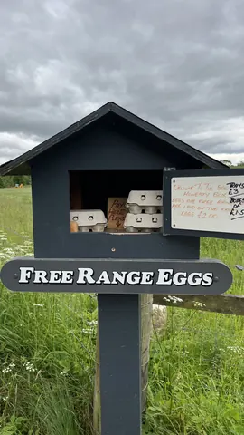 A sign for free range eggs.