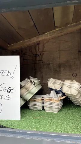 A sign that says "Used!" is in front of a pile of eggs.