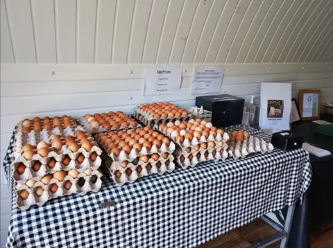 Photo 1 of 1 — Hugh Grierson Organic Farm Butchery and Honesty Pod