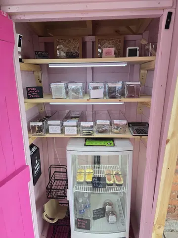A pink room with a refrigerator and a shelf.