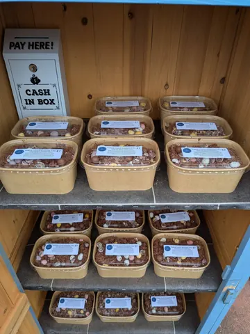 Photo 3 of 6 — La Boutique Gâteaux