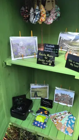 A display of cards with pictures of houses and a yellow object.