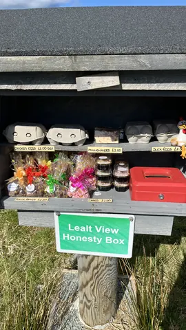 A box of eggs is displayed in a store.