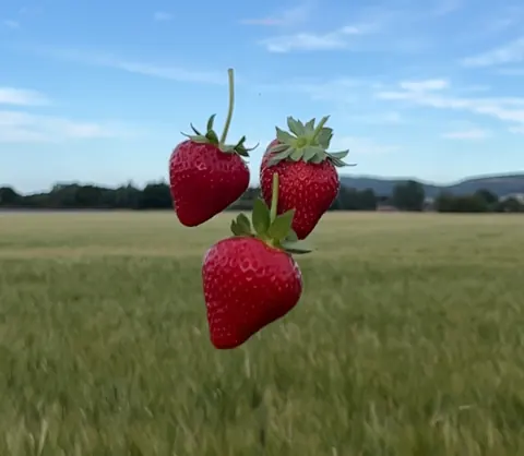 Three strawberries are flying in the air.