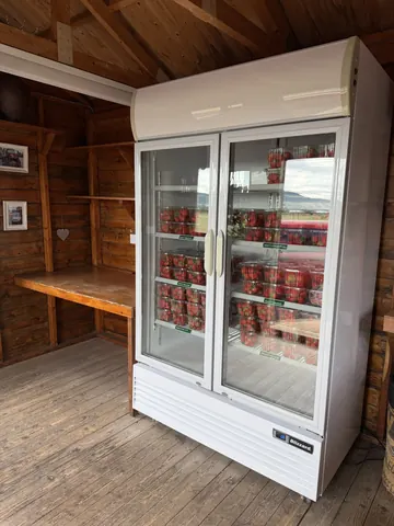A white refrigerator with a freezer section and a shelf of food.