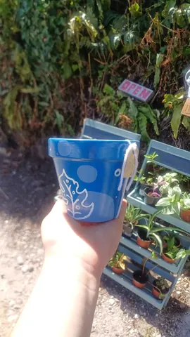 A person is holding a blue pot with a plant in it.