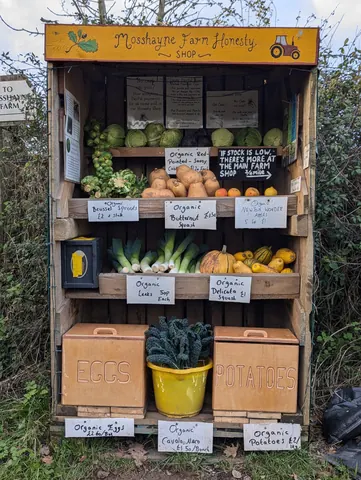 A wooden box with a sign that says "organic vegetables" and a yellow bucket with potatoes in it.