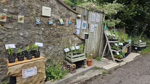 A small garden with a variety of plants and flowers.