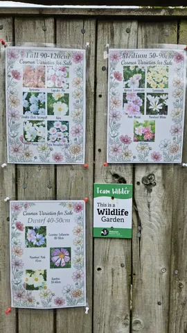 A wooden table with three flower posters on it.