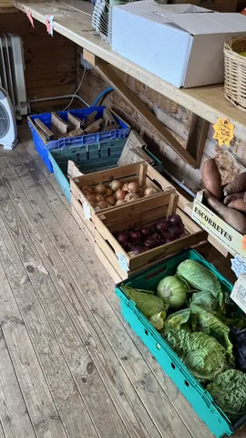 A wooden floor with crates of vegetables on it.