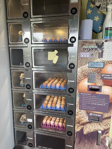 A vending machine with eggs in it.