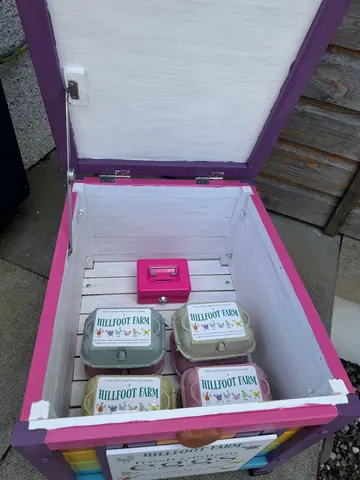 A pink and white box with a handle.