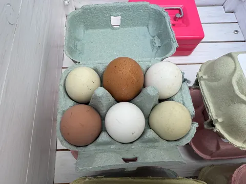 A brown egg is sitting in a carton with other eggs.