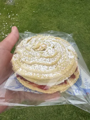 A person is holding a pastry with white powder on it.