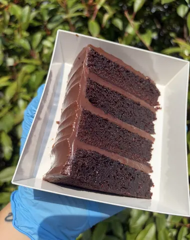 A slice of chocolate cake is in a box.