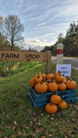A sign for a farm shop is next to a pile of pumpkins.