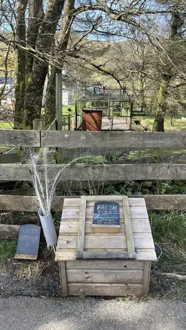 A wooden fence with a sign that says "Fresh Eggs" on it.