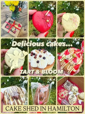 A collection of different cakes and pastries.