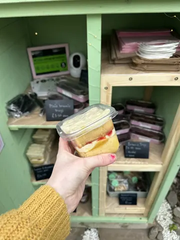 A person holding a container with a slice of cake in it.