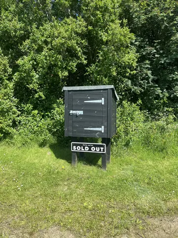 Photo 1 of 1 — The Black Box