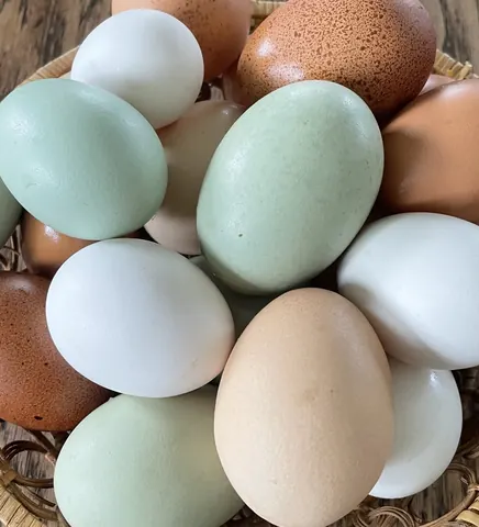 A basket full of eggs.