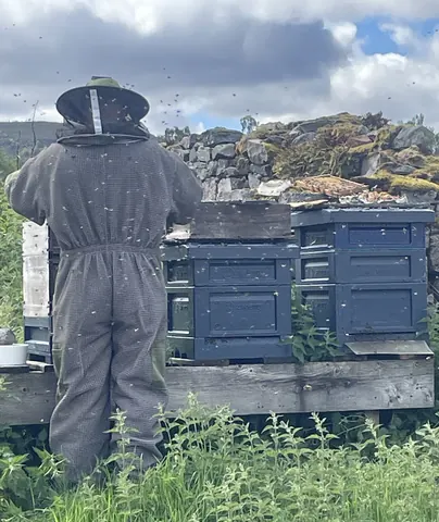 A man wearing a bee suit is standing next to a pile of beehives.