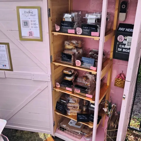 A pink door with a sign that says "Ducking stools" on it.