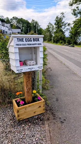 A wooden box with a sign that says "The Egg Box" and a pink box inside.
