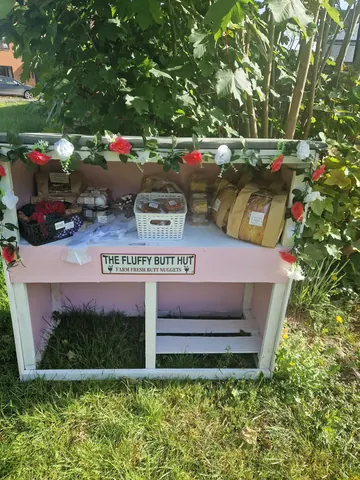 A pink table with a sign that says "The Fluffy Butt Hut" on it.
