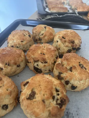 A tray of muffins with chocolate chips on top.
