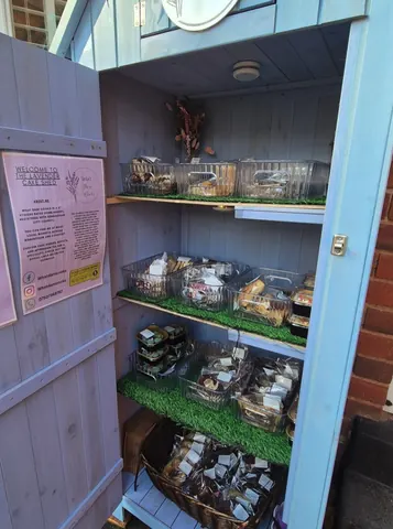 Photo 1 of 1 — The Lavender Cake Shed