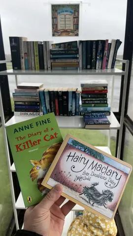 A book titled The Diary of a Killer Cat is sitting on a shelf next to another book.