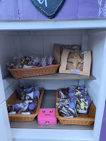 A pink box with a dog on it is sitting on a shelf.