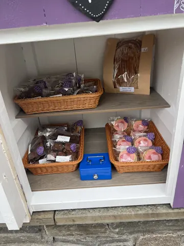 A blue box is sitting on a shelf with other items.