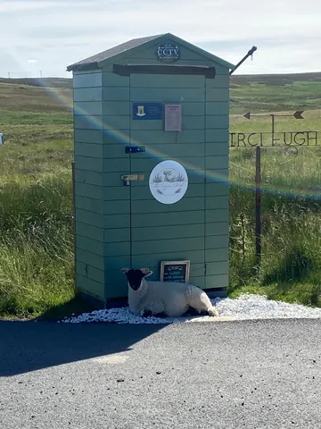 A sheep is laying down next to a green shed.