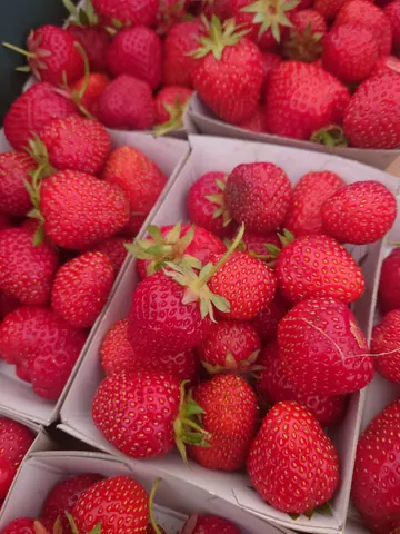 A box of red strawberries.