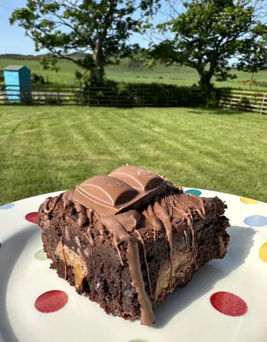 A chocolate cake with chocolate drizzled on top.