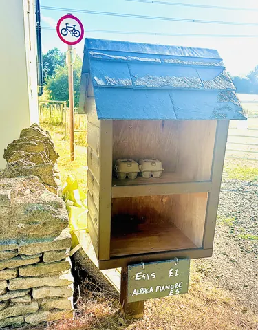 A small wooden structure with a sign on it that says "Esses Alpha Manor."